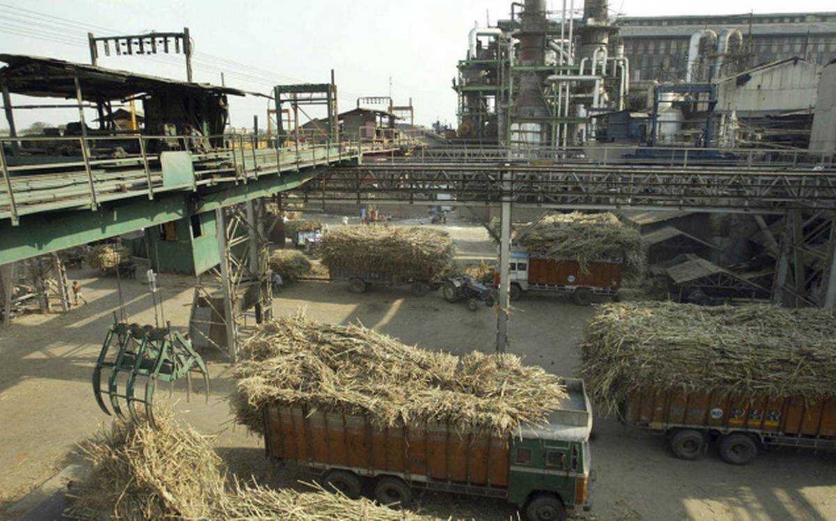 Compressed Bio Gas (CBG) Plants