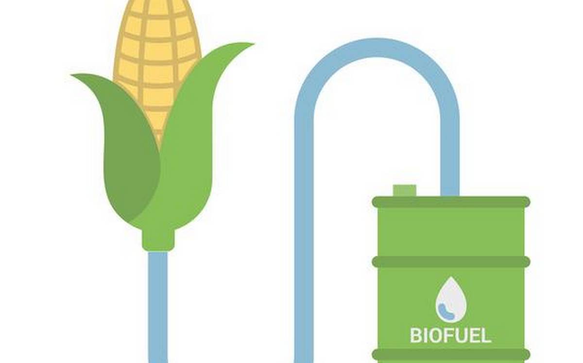 National Policy on Biofuels